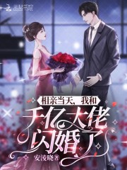 相亲当天，我和千亿大佬闪婚了无弹窗