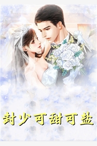 假婚真爱，她和律师前任闪婚了完整章节阅读