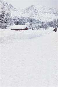 余生不赴同淋雪精品推介